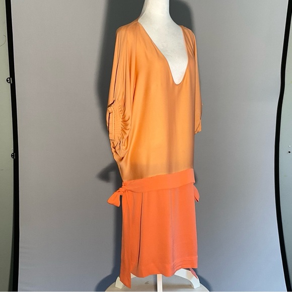 Diane Von Furstenberg Peach/Apricot Silk Drop Waist Batwing Puffed Sleeves Dress - Picture 2 of 16